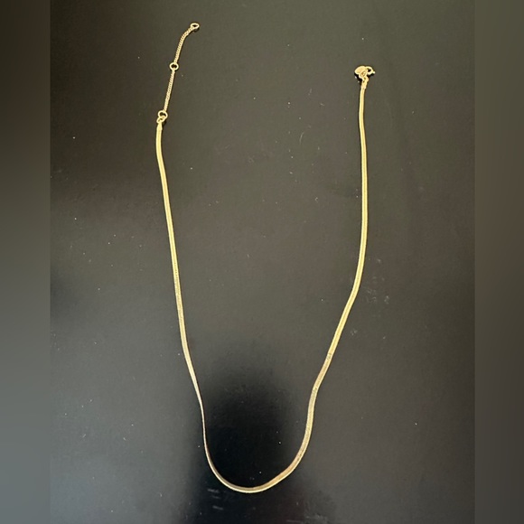 Madewell Delicate Collection Demi Fine Skinny Herringbone Chain- Like new - Picture 2 of 6